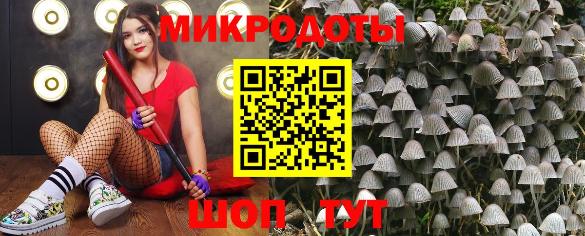Гудермес  Псилоцибиновые грибы Psilocybine cubensis  Вход с VPN 